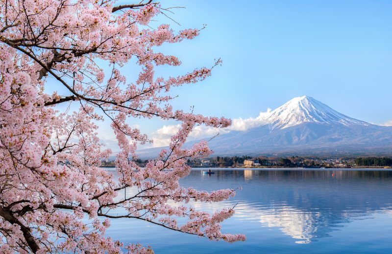 Bessent Exploring Japanese Roots